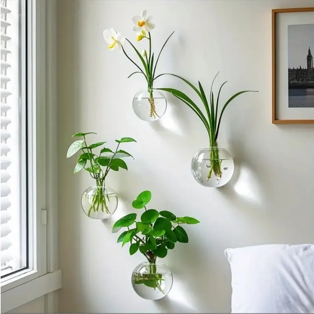 🌿 6 Pc Set of Glass Wall Planter Bowls Brighten Up Your Room 🌾🪴🎋🍃